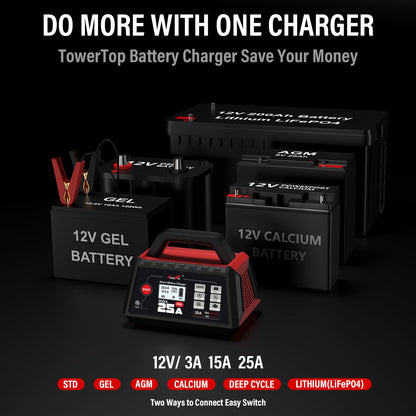 TowerTop 12V Smart Car Battery Charger 2 10 25A Maintainer With Engine Start Desulfator Winter Mode