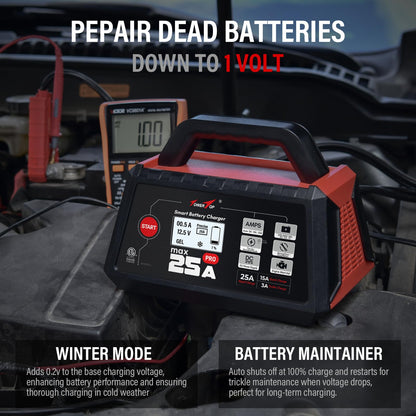 TowerTop 12V Smart Car Battery Charger 2 10 25A Maintainer With Engine Start Desulfator Winter Mode