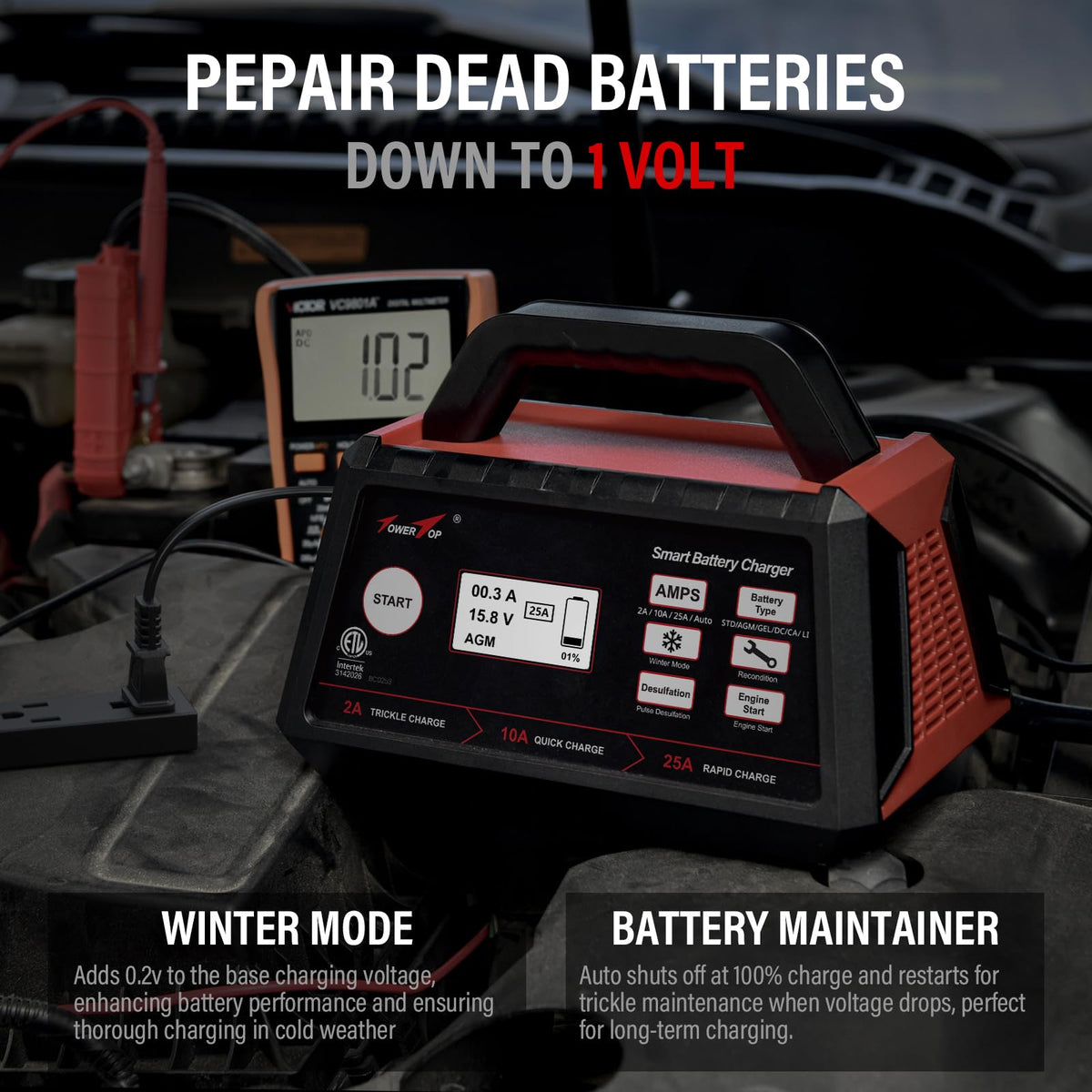 TowerTop 12V Smart Car Battery Charger 2 10 25A Maintainer With Engine Start Desulfator Winter Mode