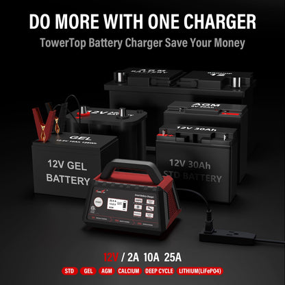 TowerTop 12V Smart Car Battery Charger 2 10 25A Maintainer With Engine Start Desulfator Winter Mode