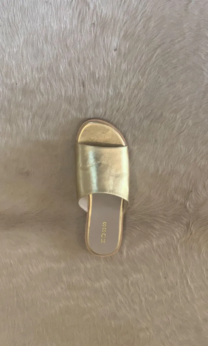 HOSS Gold Gazelle Slides